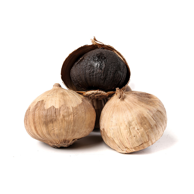 Black Solo Garlic-5
