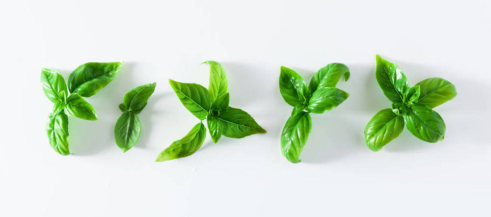 Frozen Chopped Basil