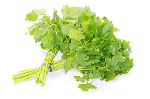 Frozen Crushed Parsley