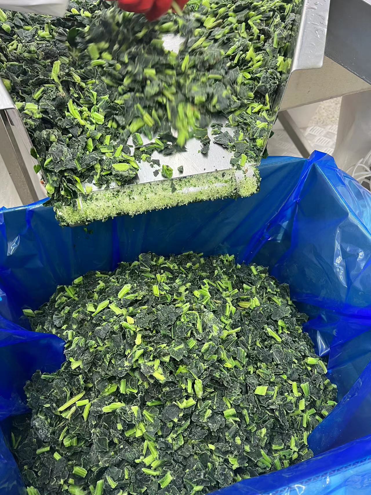 IQF spinach