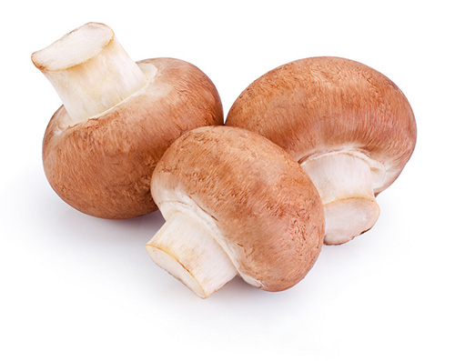 Salted Button Mushrooms