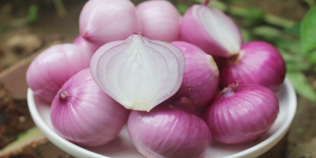 Shallots