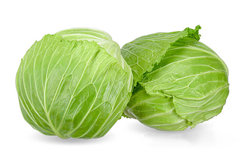 Dried Cabbage