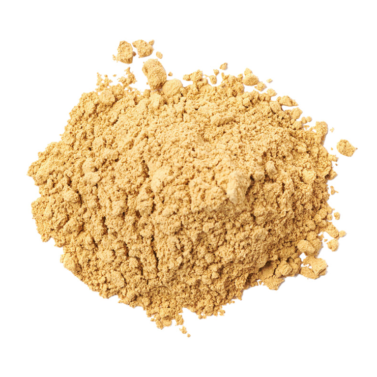 Dried Ginger Powder1