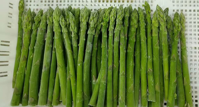 Frozen Asparagus Tips