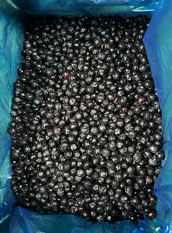 Frozen Blueberry1