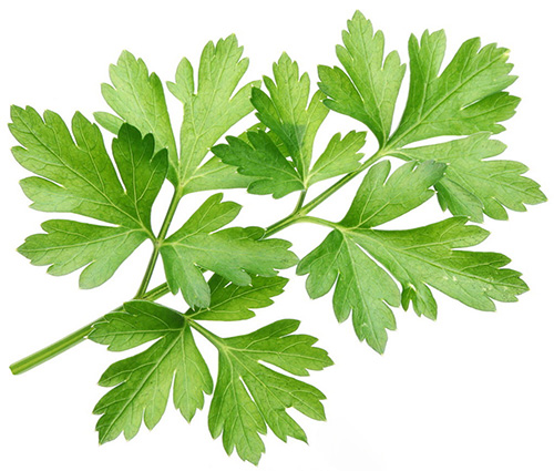 Frozen Chopped Parsley