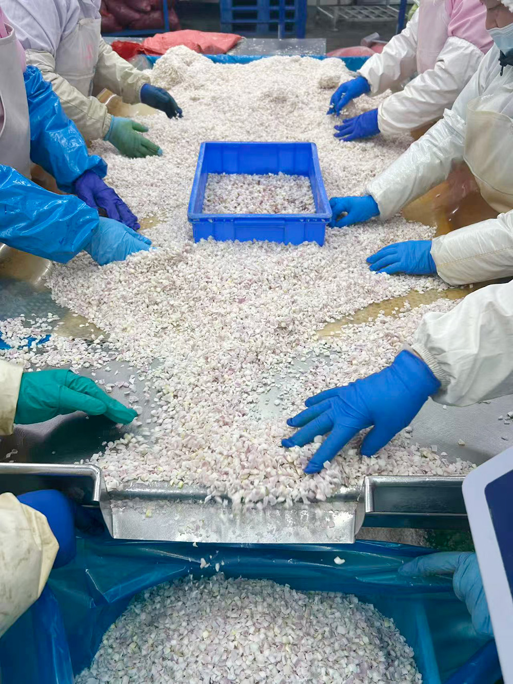 Frozen Chopped Shallot