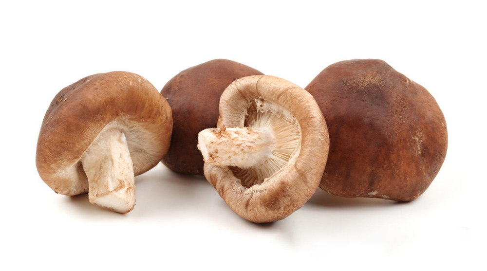 Frozen Shiitake Mushrooms Chunk