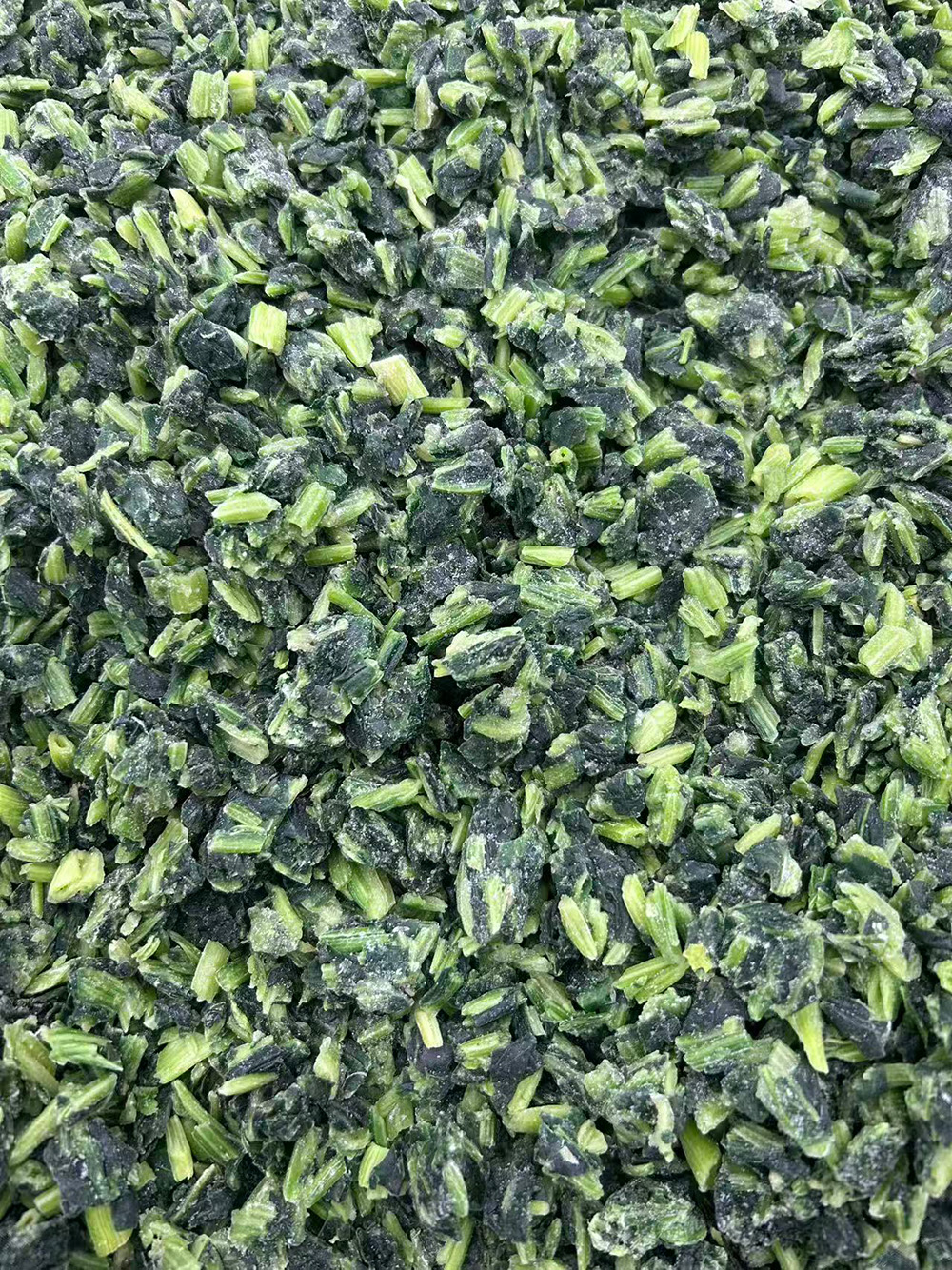 Frozen Spinach Leaves