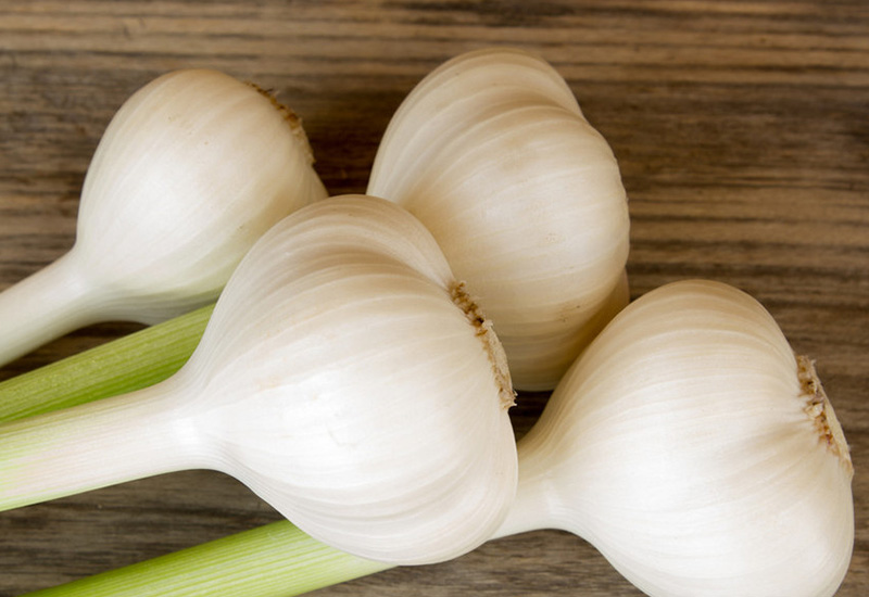 Garlic1