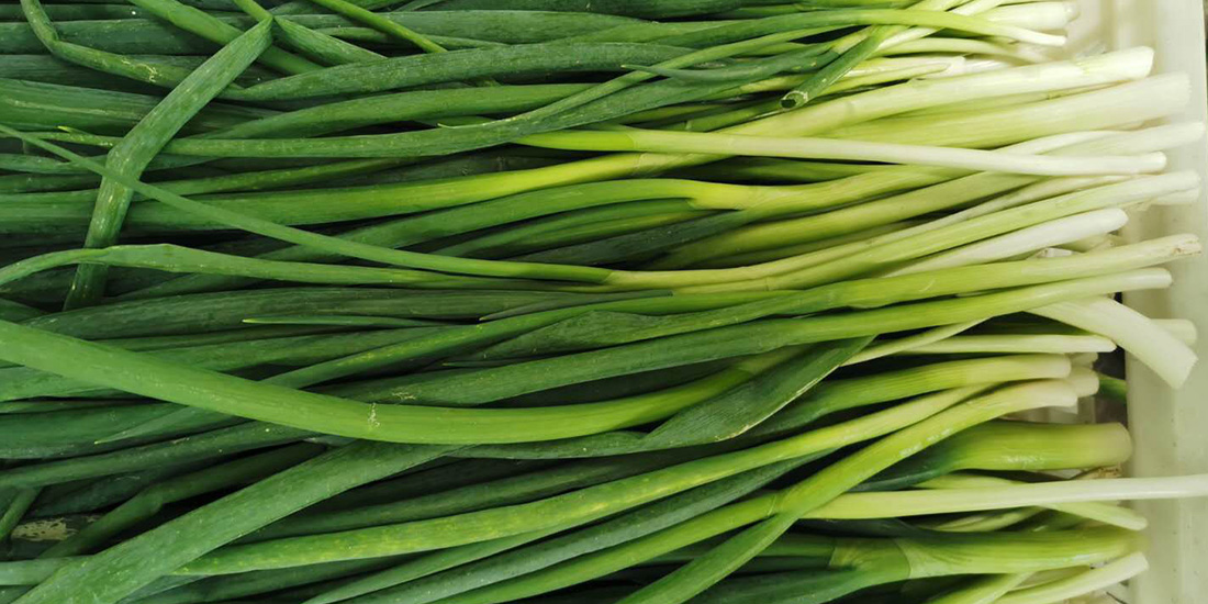 Green Onion