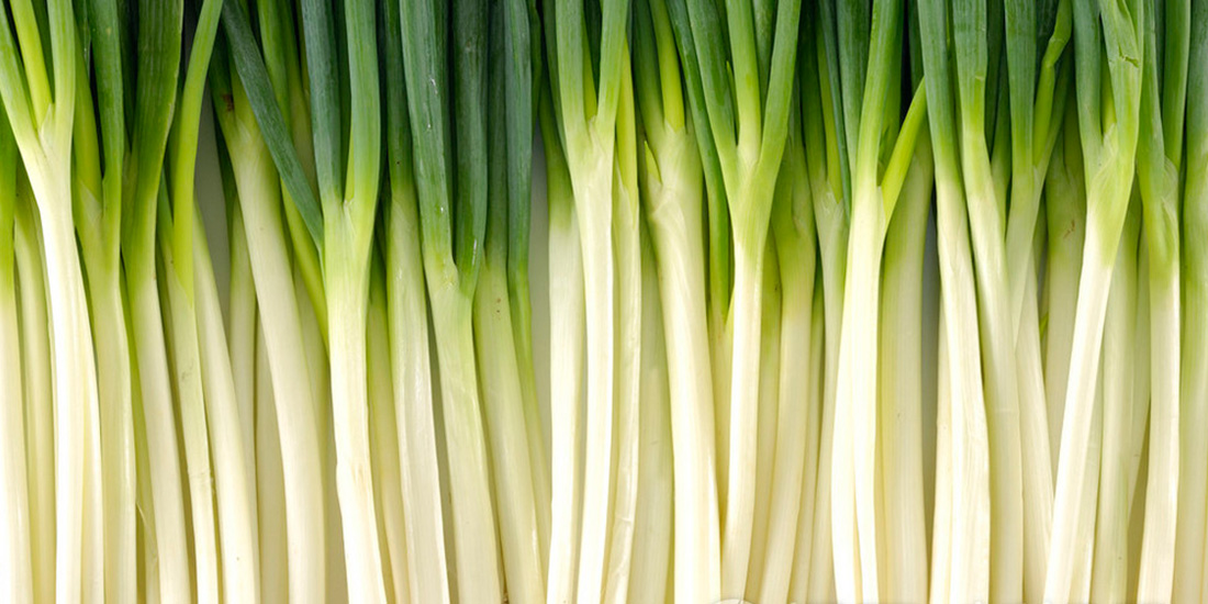 IQF Diced Scallion