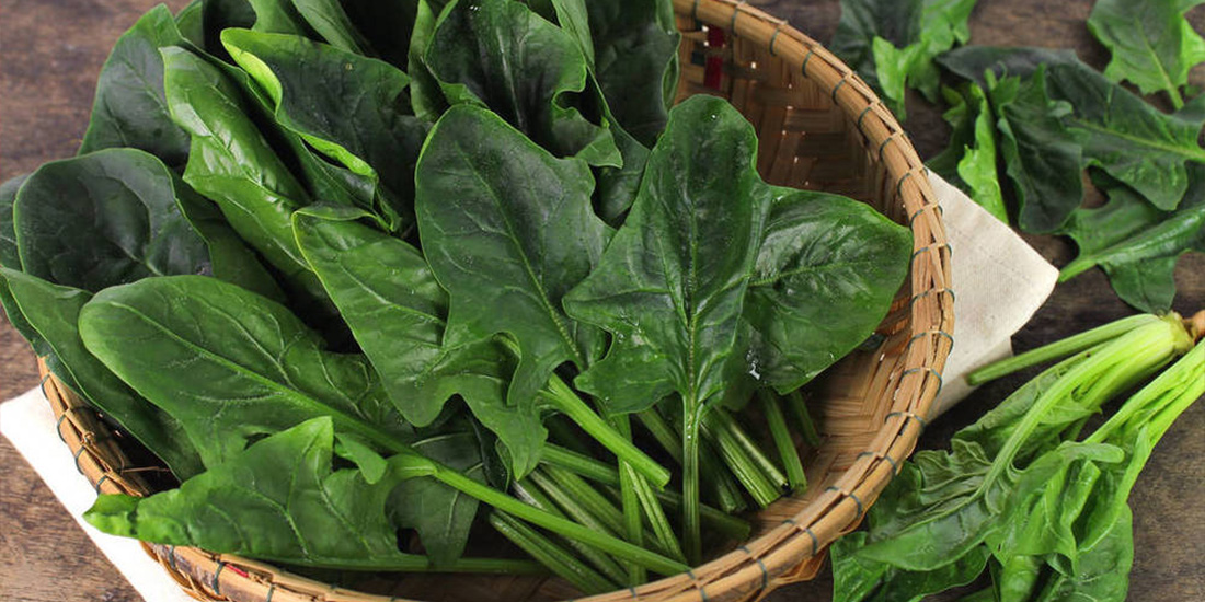 IQF Spinach