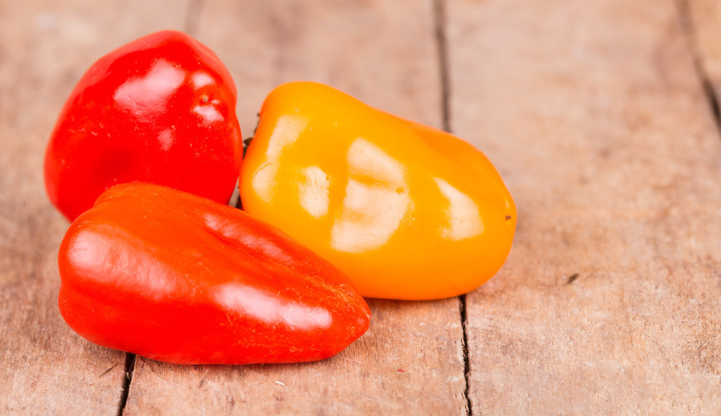 Paprika2