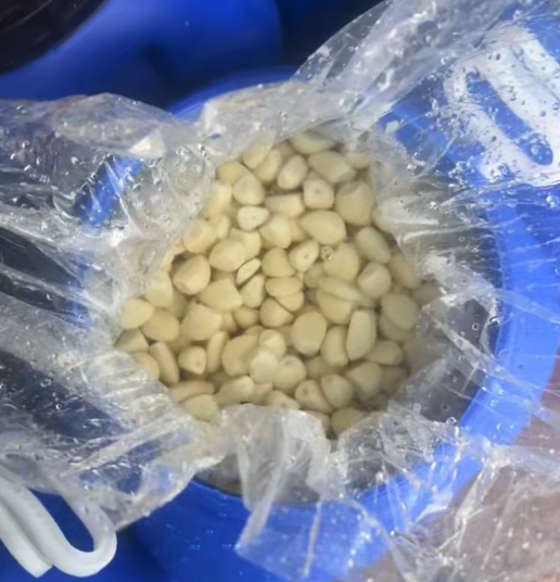 Salted Garlic In Brine