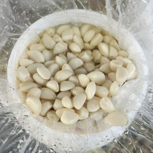 Salted Garlic