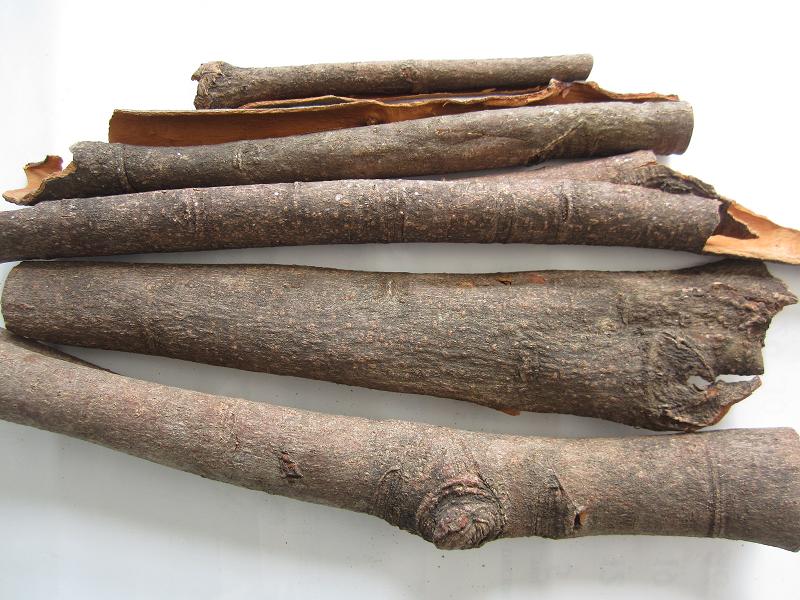Split Cassia