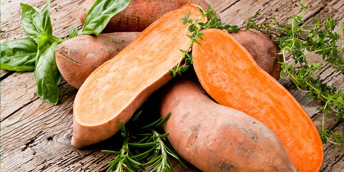 Sweet Potato