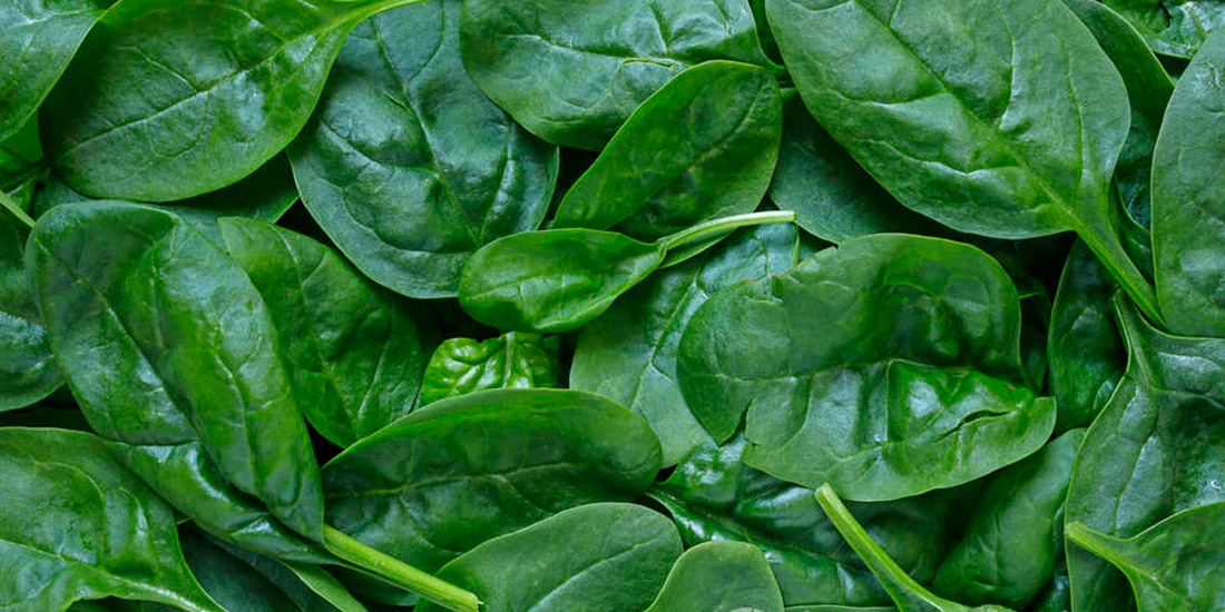 dried chopped spinach