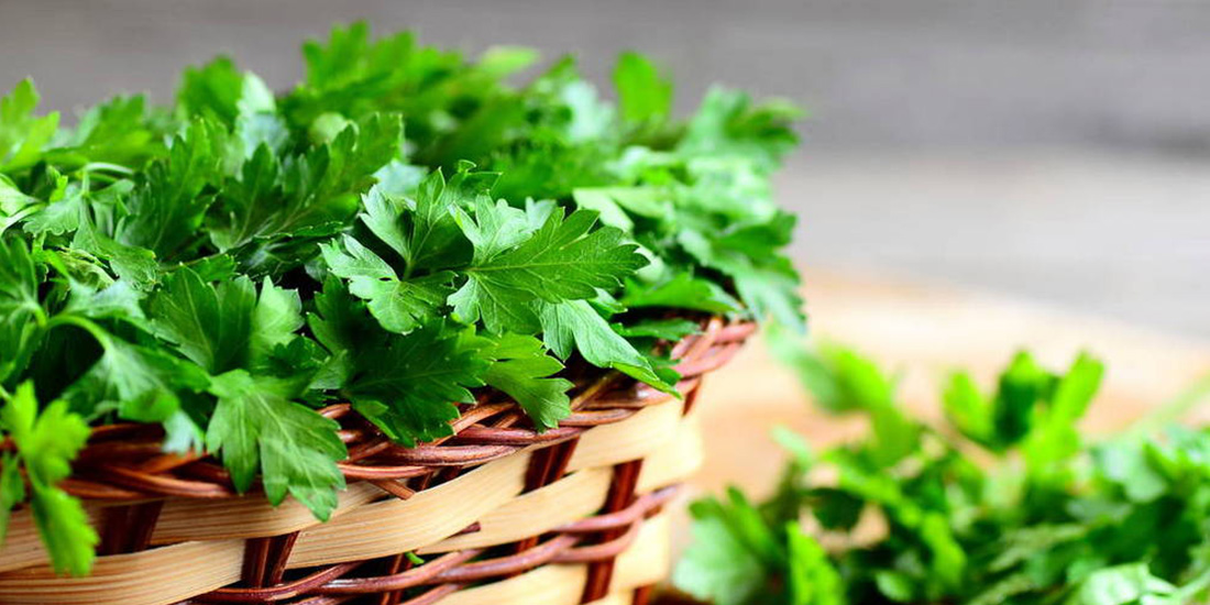 parsley